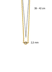 Yellow Gouden Collier, 0.04 CT Diamant, Joy