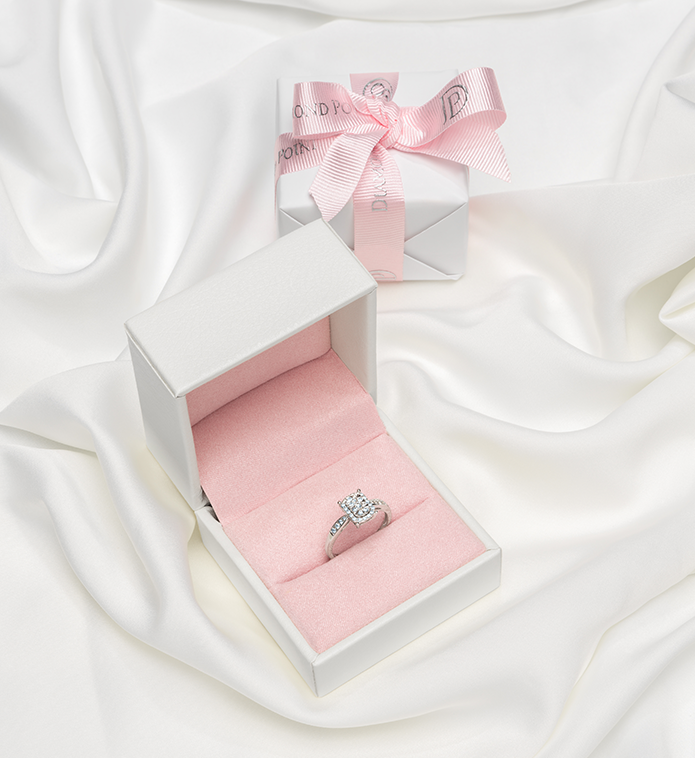 Holiday_proposal.png