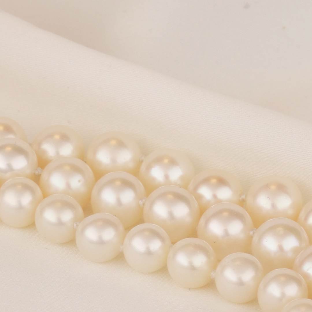 Parels1_1_91b1badb-9c42-4ab4-952f-06d7c9a6ed3b.png