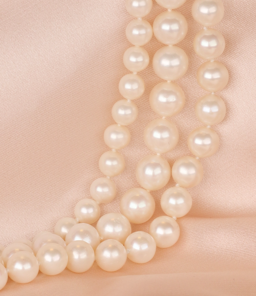 Parels_2_69ac26ba-0e17-4f00-aaed-64d3ab58420c.png