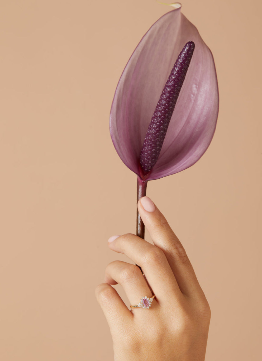 Geelgouden ring, 0.60 ct roze saffier, Eden