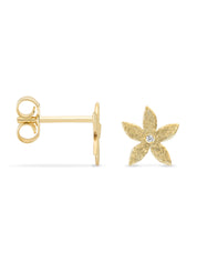 Yellow gold earring, 0.01 CT Diamant, Marigold