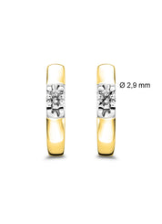 Yellow gold solitaire earstekers, 0.18 ct diamond, Groeibriljant