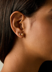 Yellow gold ear jewelry Timeless Treasures