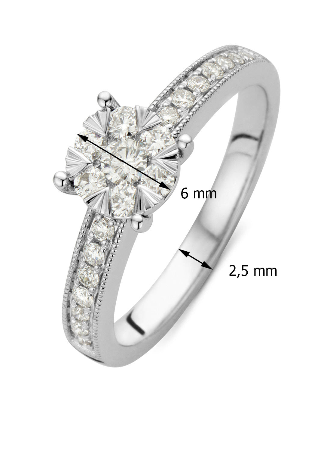 Witgouden ring, 0.40 ct diamant, Enchanted