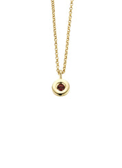 Birthstones Golden Pendant with Colorstone January