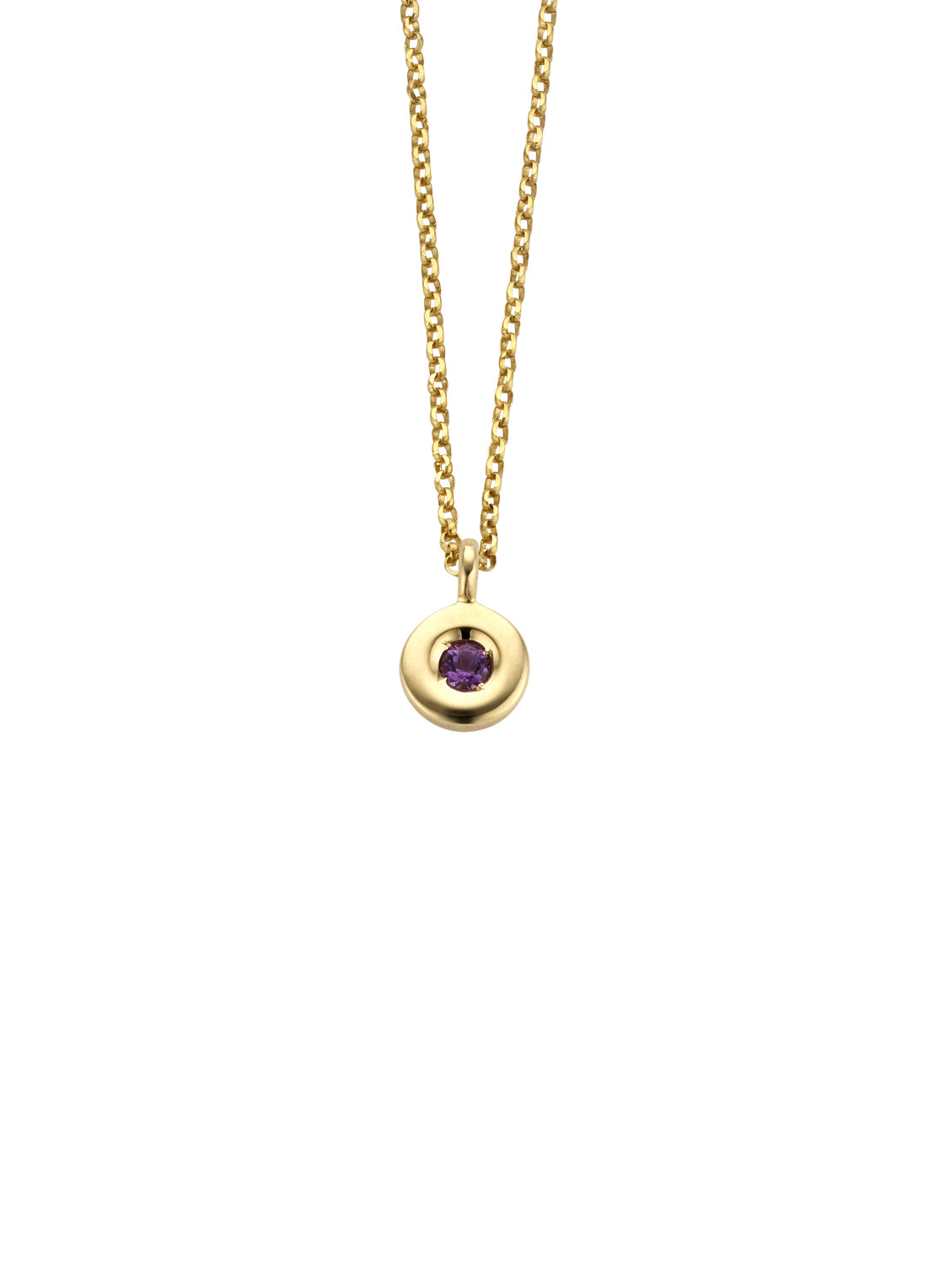 Birthstones yellow gold necklace amethyst, February