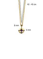 Birthstones Golden Pendant with Collier February