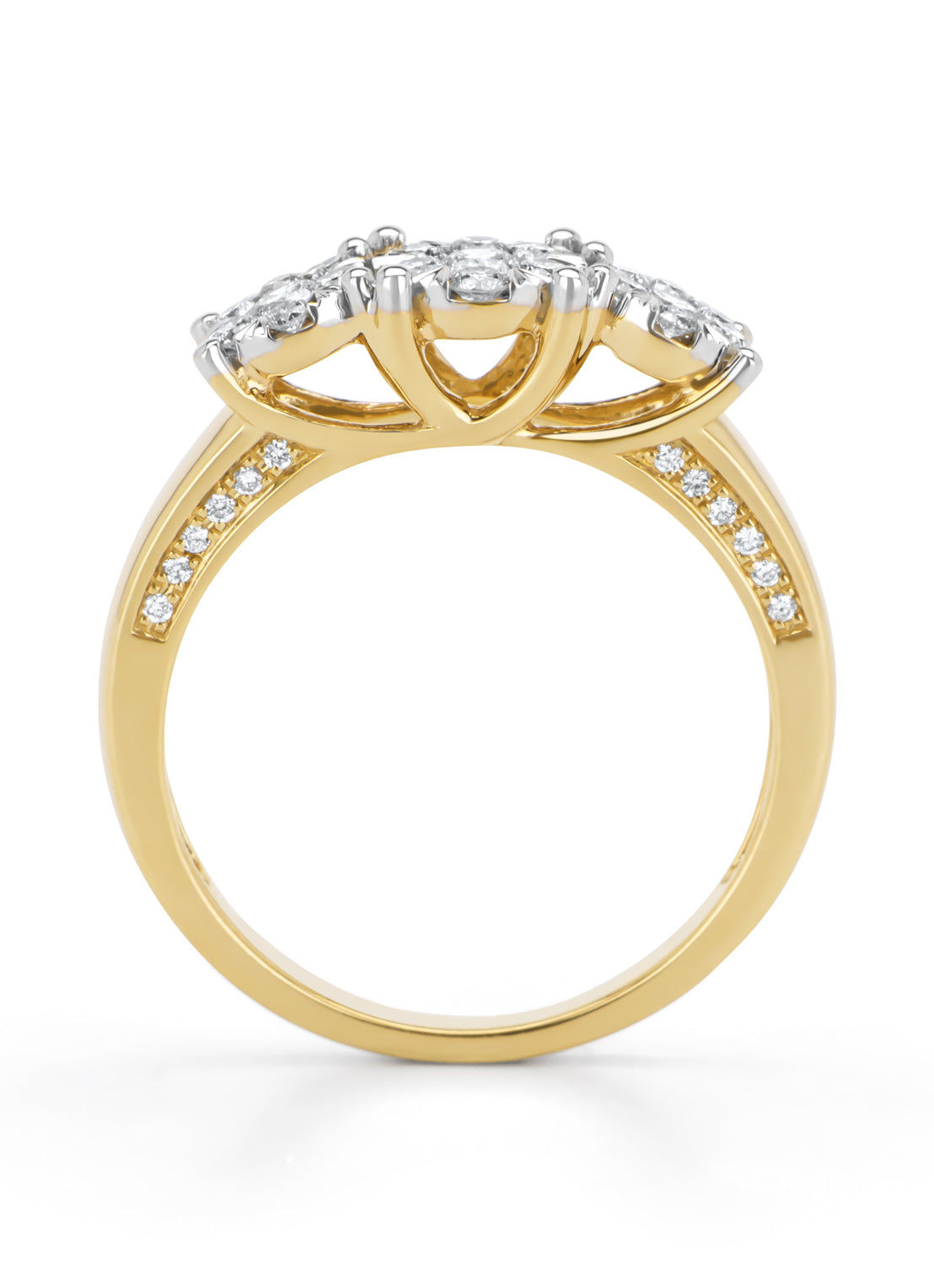 Gouden ring, 0.58 ct diamant, Enchanted