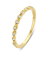 Yellow gold ring, 0.08 ct diamond, ensemble