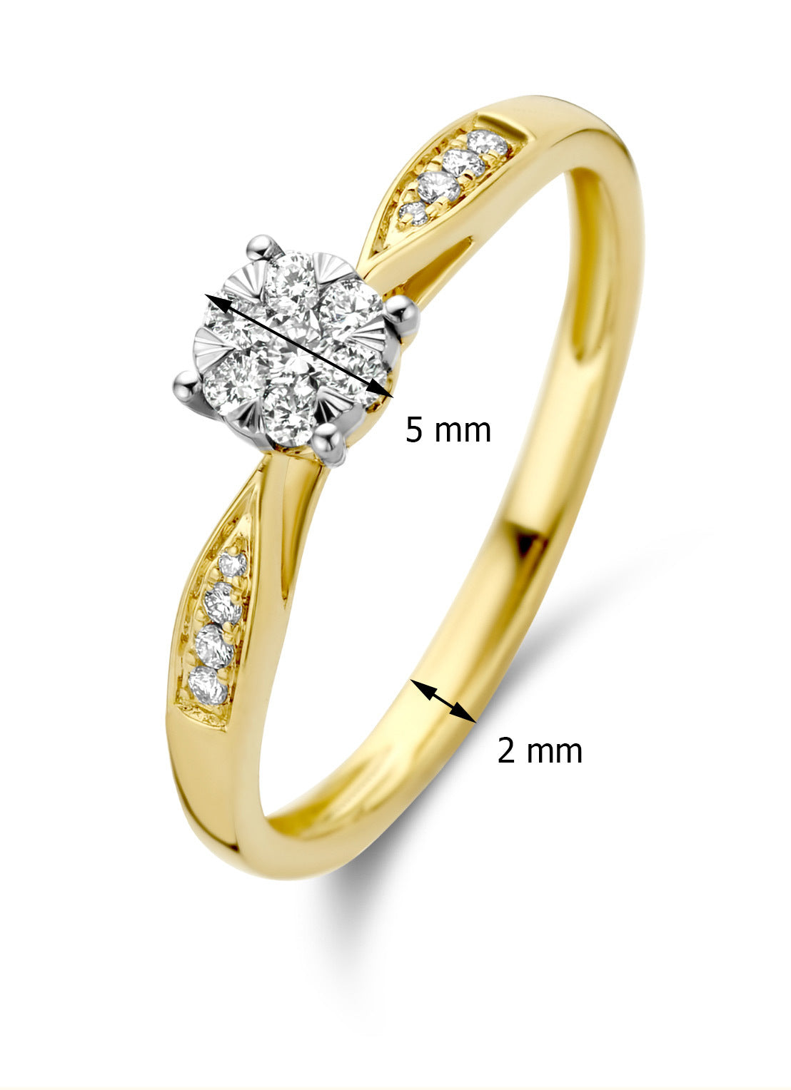 Gouden ring 14kt, 0.20 ct diamant, Enchanted